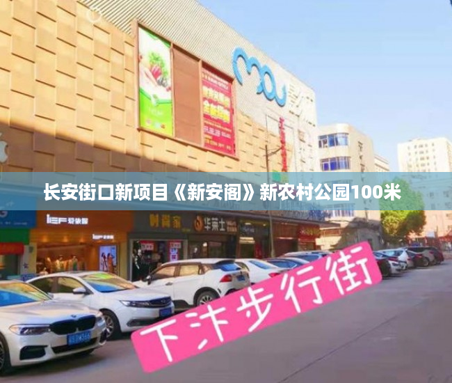 长安街口新项目《新安阁》新农村公园100米  