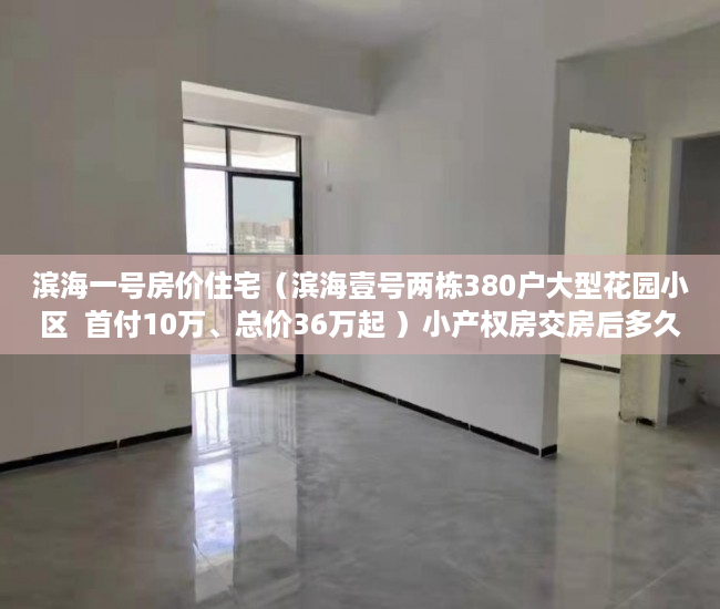 滨海一号房价住宅（滨海壹号两栋380户大型花园小区  首付10万、总价36万起 ）小产权房交房后多久办理产权，