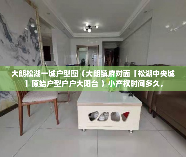 大朗松湖一城户型图（大朗镇府对面【松湖中央城】原始户型户户大阳台 ）小产权时间多久，