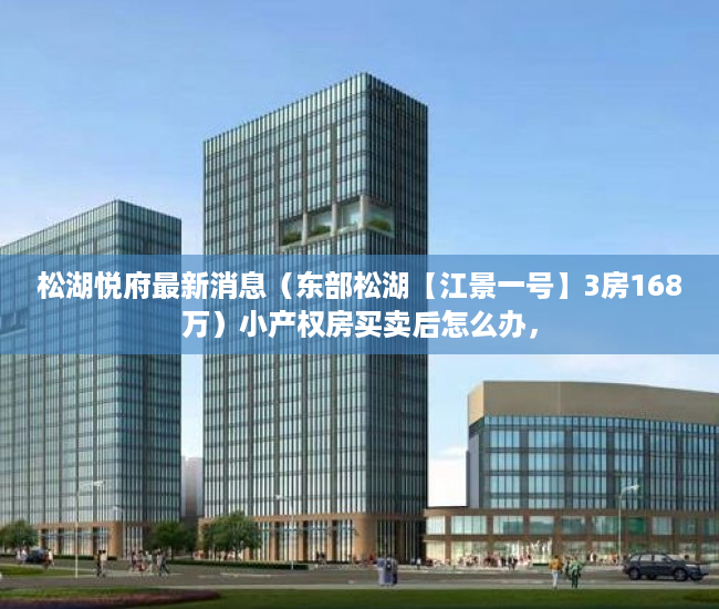 松湖悦府最新消息（东部松湖【江景一号】3房168万）小产权房买卖后怎么办，