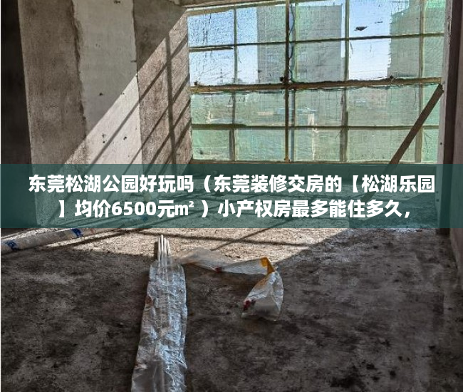 东莞松湖公园好玩吗（东莞装修交房的【松湖乐园】均价6500元㎡ ）小产权房最多能住多久，