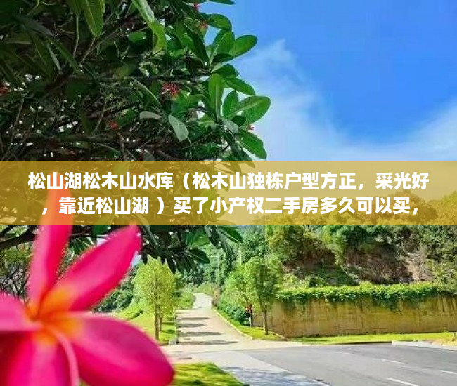 松山湖松木山水库（松木山独栋户型方正，采光好，靠近松山湖 ）买了小产权二手房多久可以买，