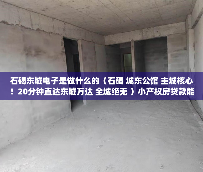 石碣东城电子是做什么的（石碣 城东公馆 主城核心！20分钟直达东城万达 全城绝无 ）小产权房贷款能贷多久，