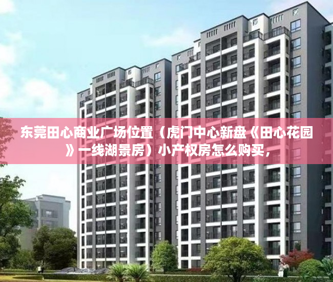 东莞田心商业广场位置（虎门中心新盘《田心花园》一线湖景房）小产权房怎么购买，