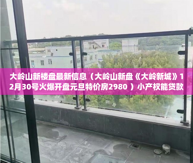 大岭山新楼盘最新信息（大岭山新盘《大岭新城》12月30号火爆开盘元旦特价房2980 ）小产权能贷款多久，