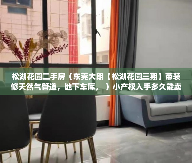 松湖花园二手房（东莞大朗【松湖花园三期】带装修天然气管道，地下车库， ）小产权入手多久能卖，