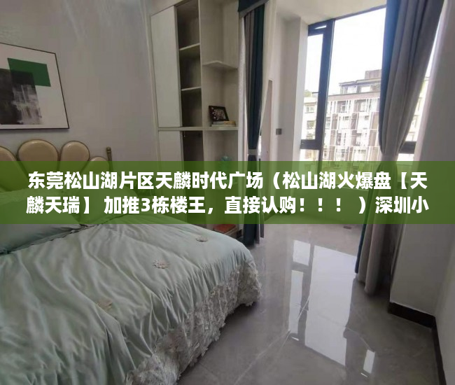 东莞松山湖片区天麟时代广场（松山湖火爆盘【天麟天瑞】 加推3栋楼王，直接认购！！！ ）深圳小产权房多久过户有效，