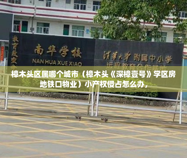 樟木头区属哪个城市（樟木头《深樟壹号》学区房地铁口物业）小产权侵占怎么办，