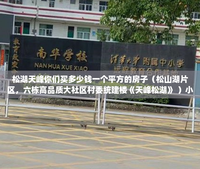 松湖天峰你们买多少钱一个平方的房子（松山湖片区，六栋高品质大社区村委统建楼《天峰松湖》 ）小产权证办理要多久，