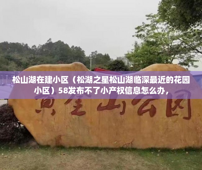松山湖在建小区（松湖之星松山湖临深最近的花园小区）58发布不了小产权信息怎么办，