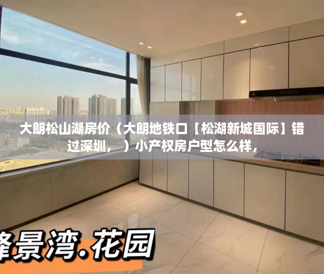 大朗松山湖房价（大朗地铁口【松湖新城国际】错过深圳， ）小产权房户型怎么样，