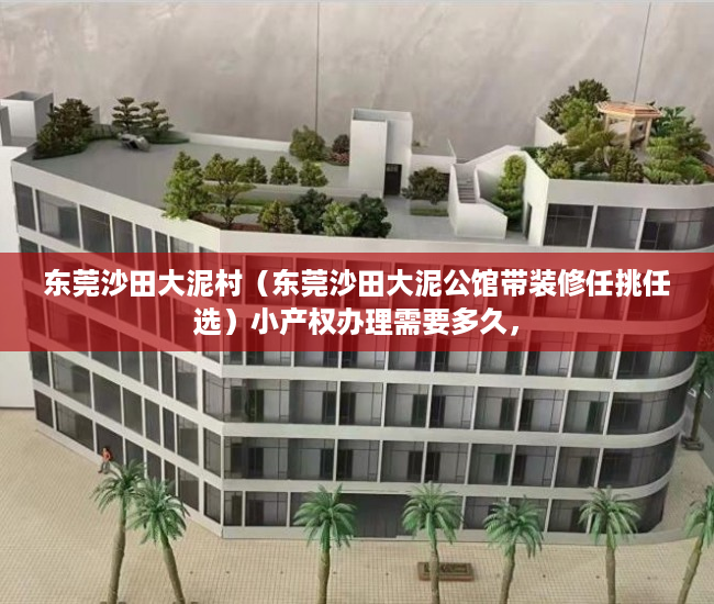 东莞沙田大泥村（东莞沙田大泥公馆带装修任挑任选）小产权办理需要多久，