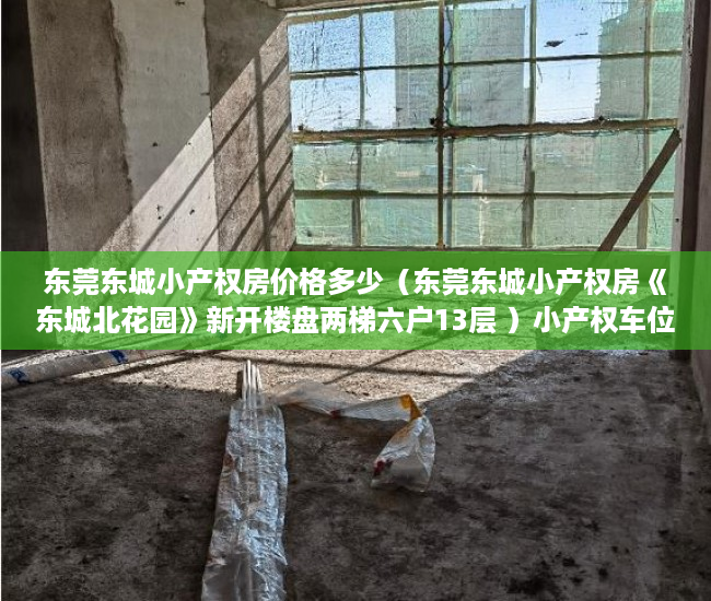 东莞东城小产权房价格多少（东莞东城小产权房《东城北花园》新开楼盘两梯六户13层 ）小产权车位可以用多久，