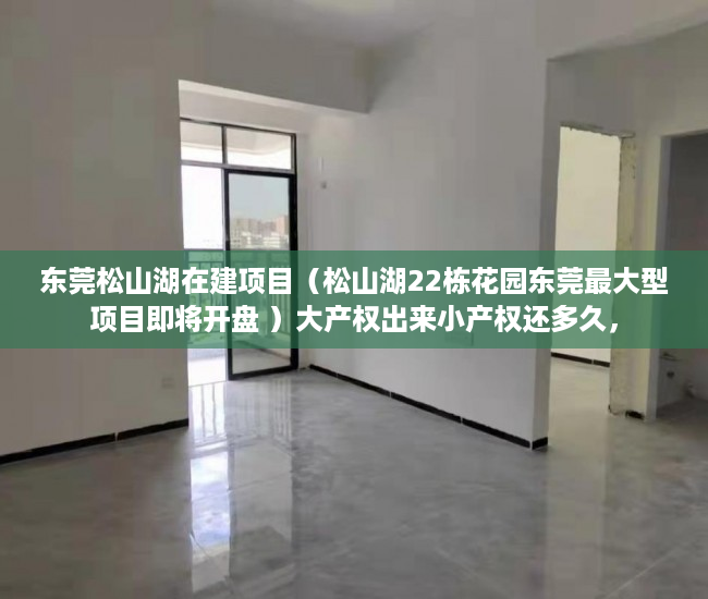 东莞松山湖在建项目（松山湖22栋花园东莞最大型项目即将开盘 ）大产权出来小产权还多久，