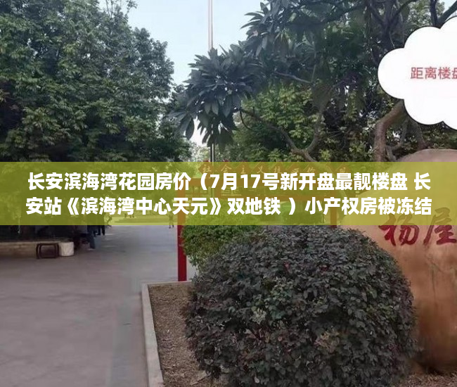 长安滨海湾花园房价（7月17号新开盘最靓楼盘 长安站《滨海湾中心天元》双地铁 ）小产权房被冻结改名字怎么办，