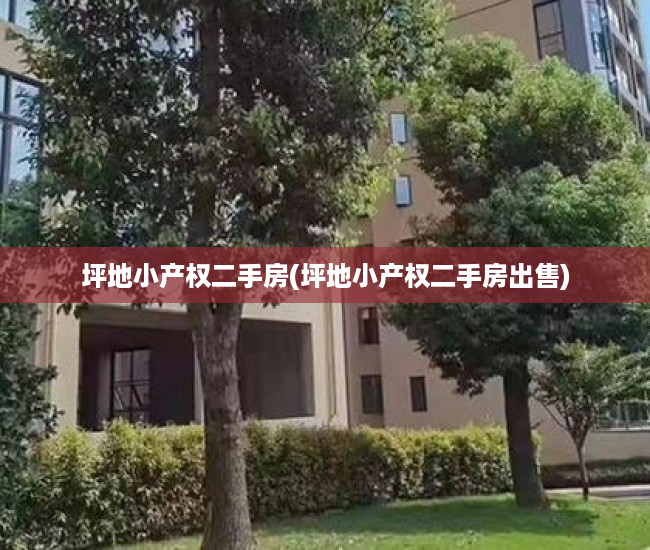 坪地小产权二手房(坪地小产权二手房出售)