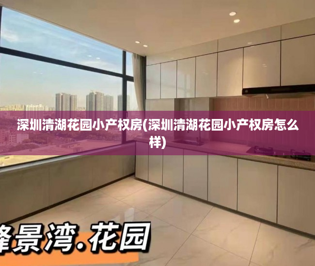 深圳清湖花园小产权房(深圳清湖花园小产权房怎么样) 深圳清湖花园小产权房(深圳清湖花园小产权房怎么样)