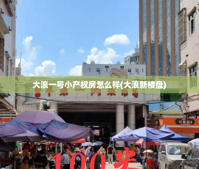 大浪一号小产权房怎么样(大浪新楼盘) 大浪一号小产权房怎么样(大浪新楼盘)