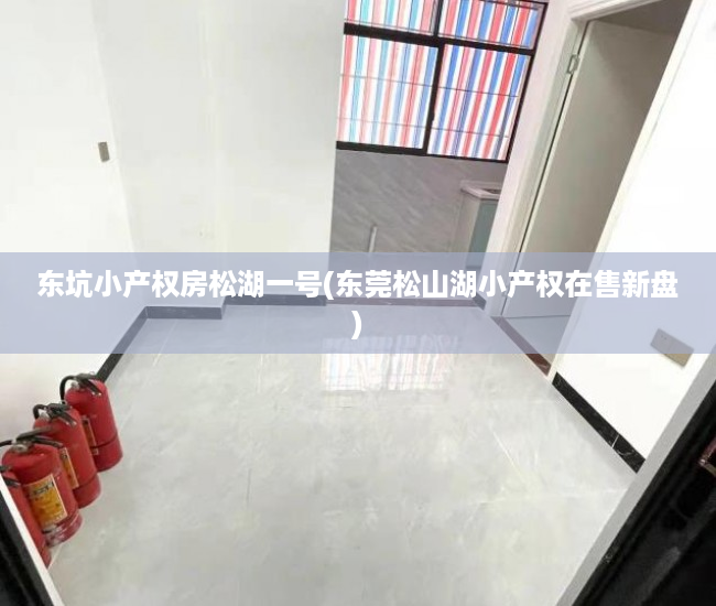 东坑小产权房松湖一号(东莞松山湖小产权在售新盘) 东坑小产权房松湖一号(东莞松山湖小产权在售新盘)
