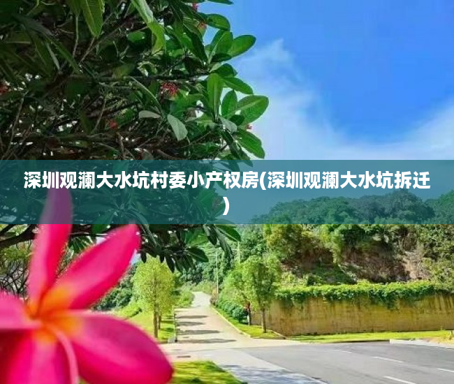 深圳观澜大水坑村委小产权房(深圳观澜大水坑拆迁) 深圳观澜大水坑村委小产权房(深圳观澜大水坑拆迁)
