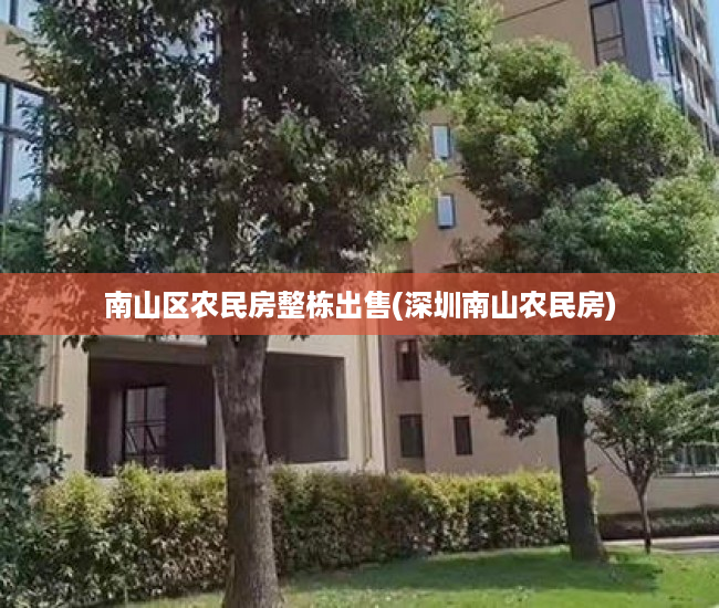 南山区农民房整栋出售(深圳南山农民房)