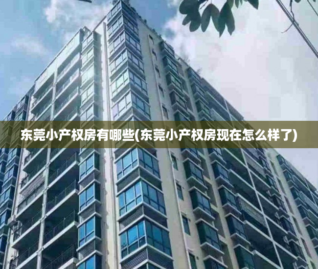 东莞小产权房有哪些(东莞小产权房现在怎么样了) 东莞小产权房有哪些(东莞小产权房现在怎么样了)