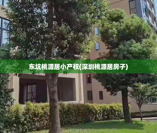 东坑桃源居小产权(深圳桃源居房子) 东坑桃源居小产权(深圳桃源居房子)
