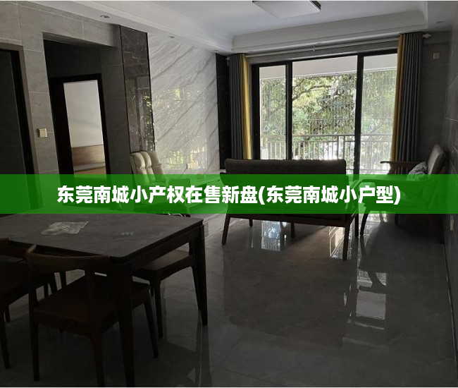 东莞南城小产权在售新盘(东莞南城小户型) 东莞南城小产权在售新盘(东莞南城小户型)