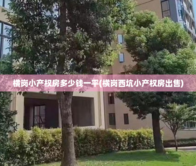 横岗小产权房多少钱一平(横岗西坑小产权房出售) 横岗小产权房多少钱一平(横岗西坑小产权房出售)