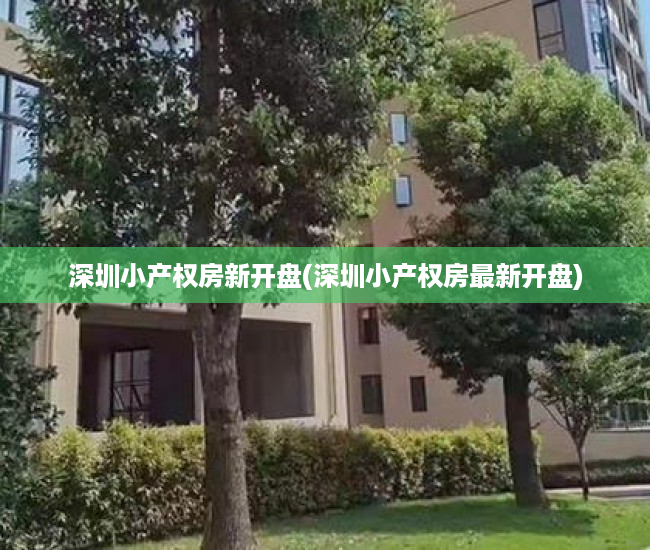 深圳小产权房新开盘(深圳小产权房最新开盘) 深圳小产权房新开盘(深圳小产权房最新开盘)