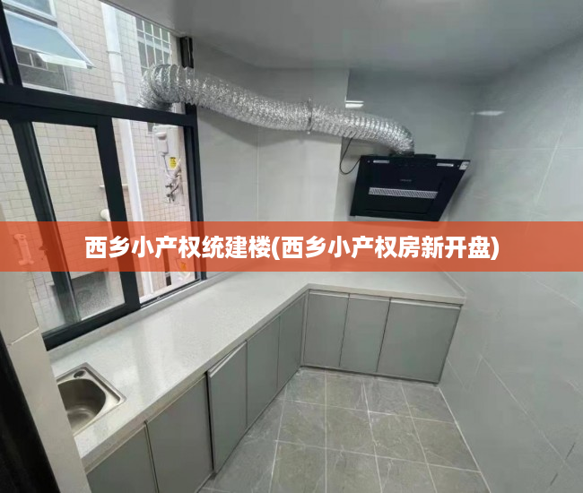 西乡小产权统建楼(西乡小产权房新开盘) 西乡小产权统建楼(西乡小产权房新开盘)