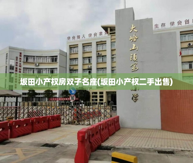 坂田小产权房双子名座(坂田小产权二手出售) 坂田小产权房双子名座(坂田小产权二手出售)