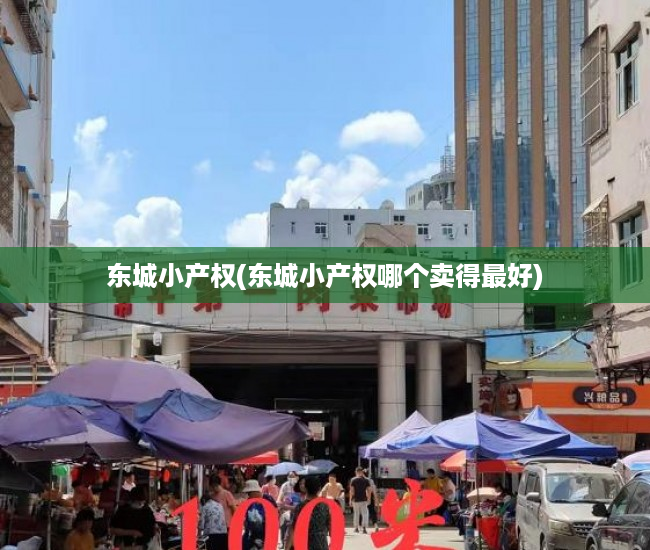 东城小产权(东城小产权哪个卖得最好) 东城小产权(东城小产权哪个卖得最好)