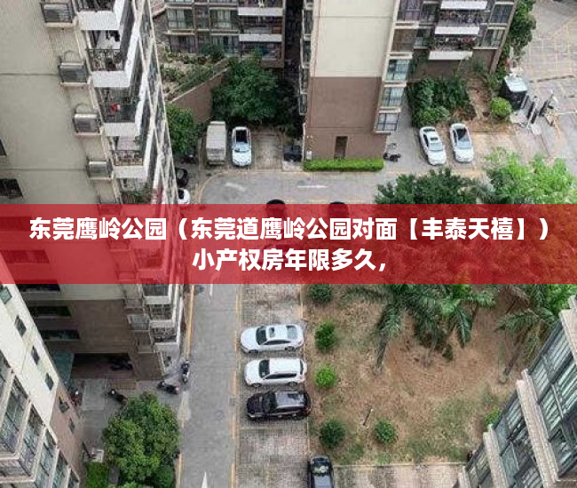 东莞鹰岭公园（东莞道鹰岭公园对面【丰泰天禧】）小产权房年限多久，