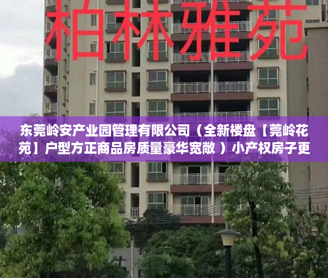 东莞岭安产业园管理有限公司（全新楼盘【莞岭花苑】户型方正商品房质量豪华宽敞 ）小产权房子更名需要多久，