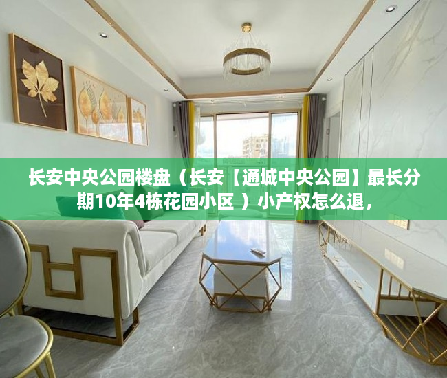 长安中央公园楼盘（长安【通城中央公园】最长分期10年4栋花园小区 ）小产权怎么退，