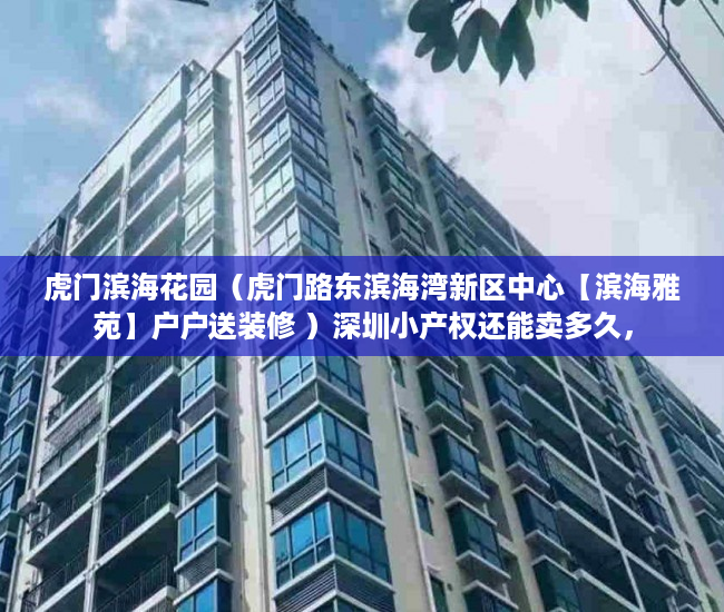 虎门滨海花园（虎门路东滨海湾新区中心【滨海雅苑】户户送装修 ）深圳小产权还能卖多久，