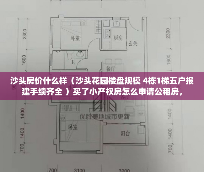 沙头房价什么样（沙头花园楼盘规模 4栋1梯五户报建手续齐全 ）买了小产权房怎么申请公租房，
