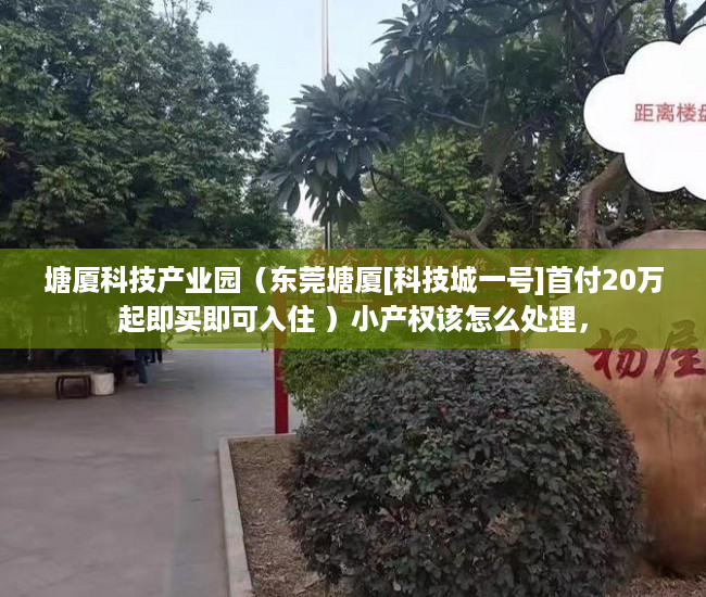 塘厦科技产业园（东莞塘厦[科技城一号]首付20万起即买即可入住 ）小产权该怎么处理，