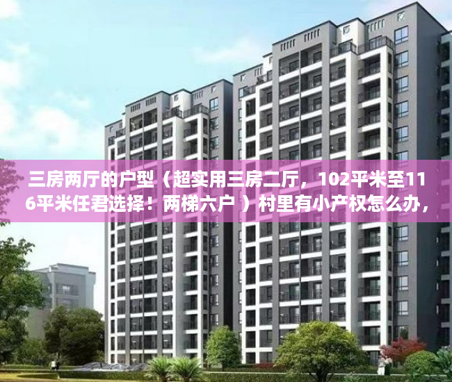 三房两厅的户型（超实用三房二厅，102平米至116平米任君选择！两梯六户 ）村里有小产权怎么办，