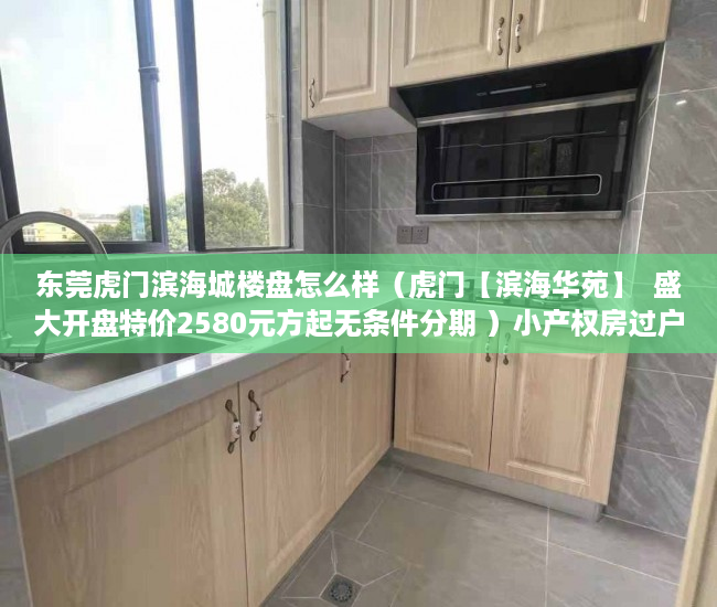 东莞虎门滨海城楼盘怎么样（虎门【滨海华苑】  盛大开盘特价2580元方起无条件分期 ）小产权房过户多久可以买卖，