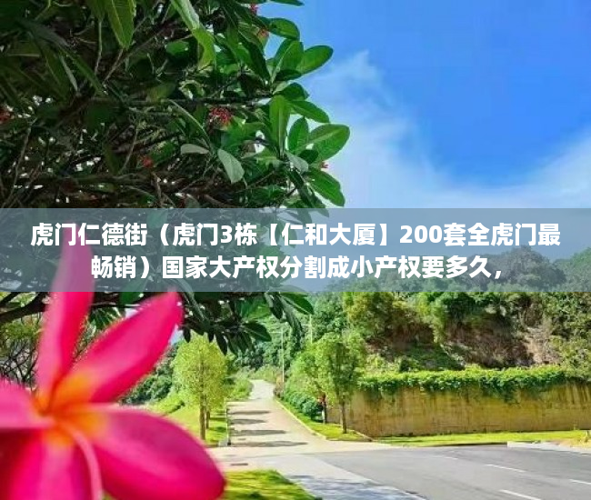 虎门仁德街（虎门3栋【仁和大厦】200套全虎门最畅销）国家大产权分割成小产权要多久，