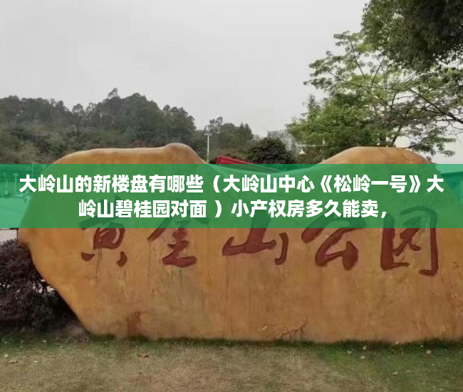 大岭山的新楼盘有哪些（大岭山中心《松岭一号》大岭山碧桂园对面 ）小产权房多久能卖，