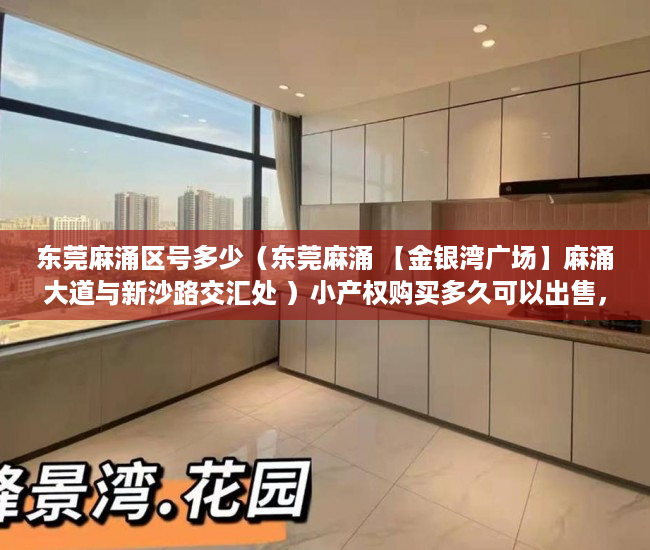 东莞麻涌区号多少（东莞麻涌 【金银湾广场】麻涌大道与新沙路交汇处 ）小产权购买多久可以出售，