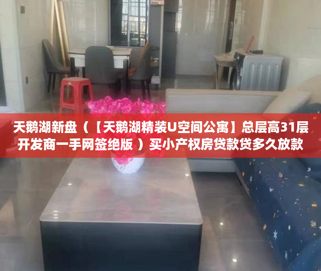 天鹅湖新盘（【天鹅湖精装U空间公寓】总层高31层开发商一手网签绝版 ）买小产权房贷款贷多久放款，