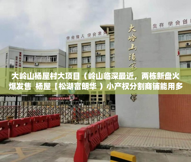 大岭山杨屋村大项目（岭山临深最近，两栋新盘火爆发售  杨屋【松湖富朗华 ）小产权分割商铺能用多久，