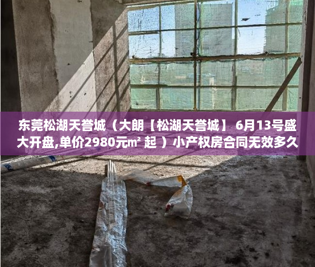东莞松湖天誉城（大朗【松湖天誉城】 6月13号盛大开盘,单价2980元㎡ 起 ）小产权房合同无效多久可起诉，