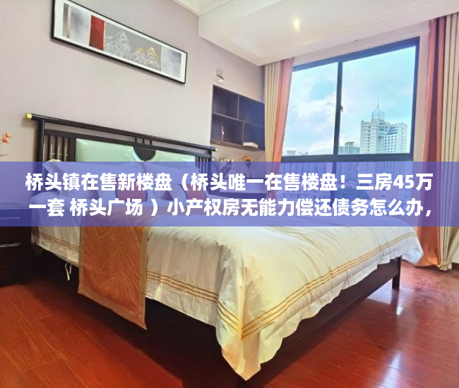 桥头镇在售新楼盘（桥头唯一在售楼盘！三房45万一套 桥头广场 ）小产权房无能力偿还债务怎么办，