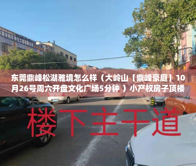 东莞鼎峰松湖雅境怎么样（大岭山【鼎峰豪庭】10月26号周六开盘文化广场5分钟 ）小产权房子顶楼漏水怎么办，