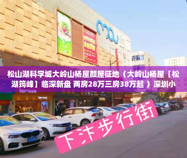 松山湖科学城大岭山杨屋颜屋征地（大岭山杨屋【松湖筠峰】临深新盘 两房28万三房38万起 ）深圳小产权房最后多久能卖房，